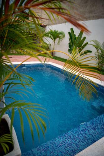 IMG-20210715-WA0020